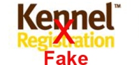 Fake company Kennel Registration Ltd, Fake trademark Kennel Registration, Fake pedigree database, Julian King kennel registration fake pedigree database,